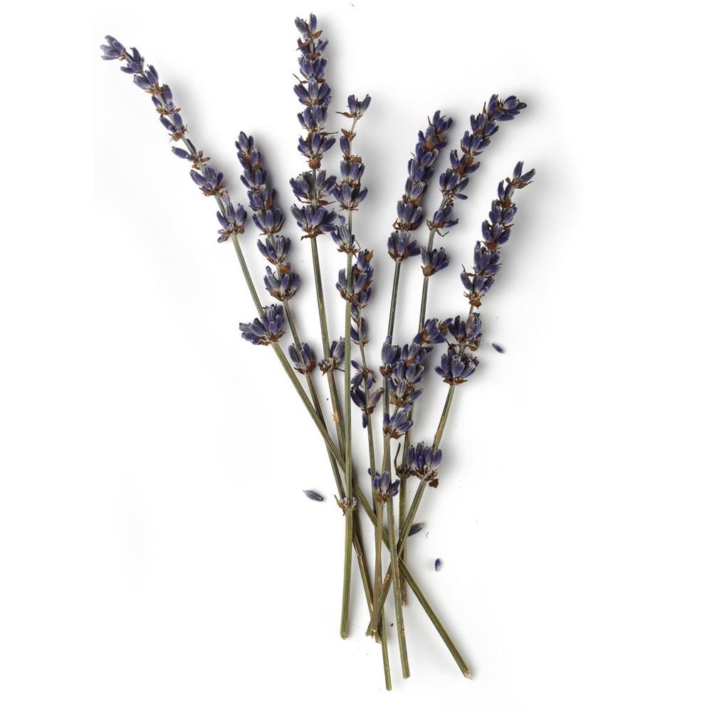 Óleo Essencial de Lavanda Bulgária 10ml