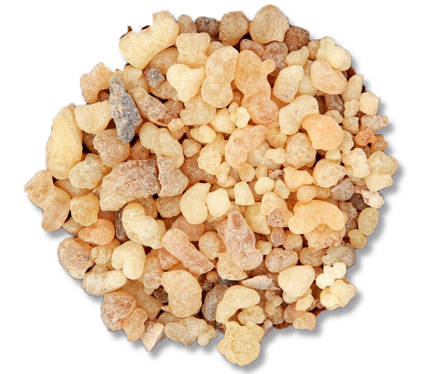 Óleo Essencial de Olíbano (FRANKINCENSE) 10ml
