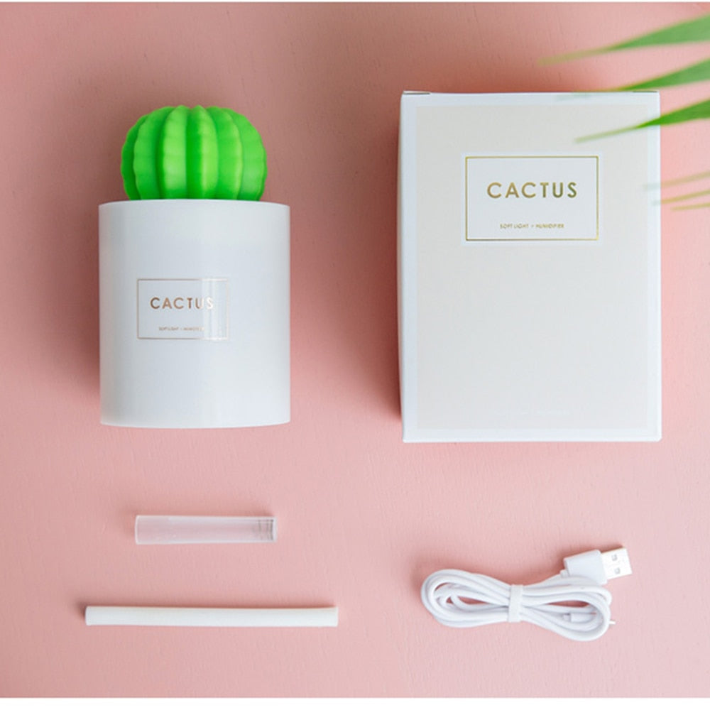 Humidificador Cactus Ball