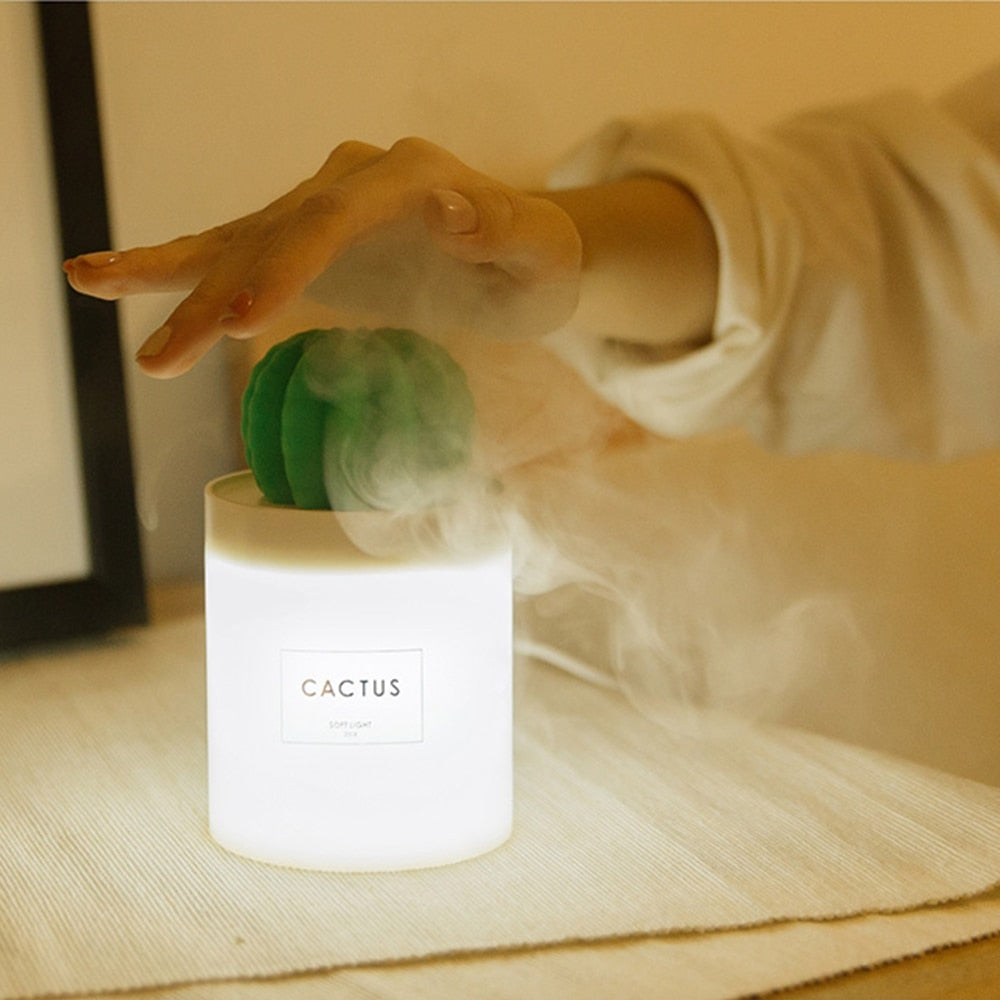 Humidificador Cactus Ball