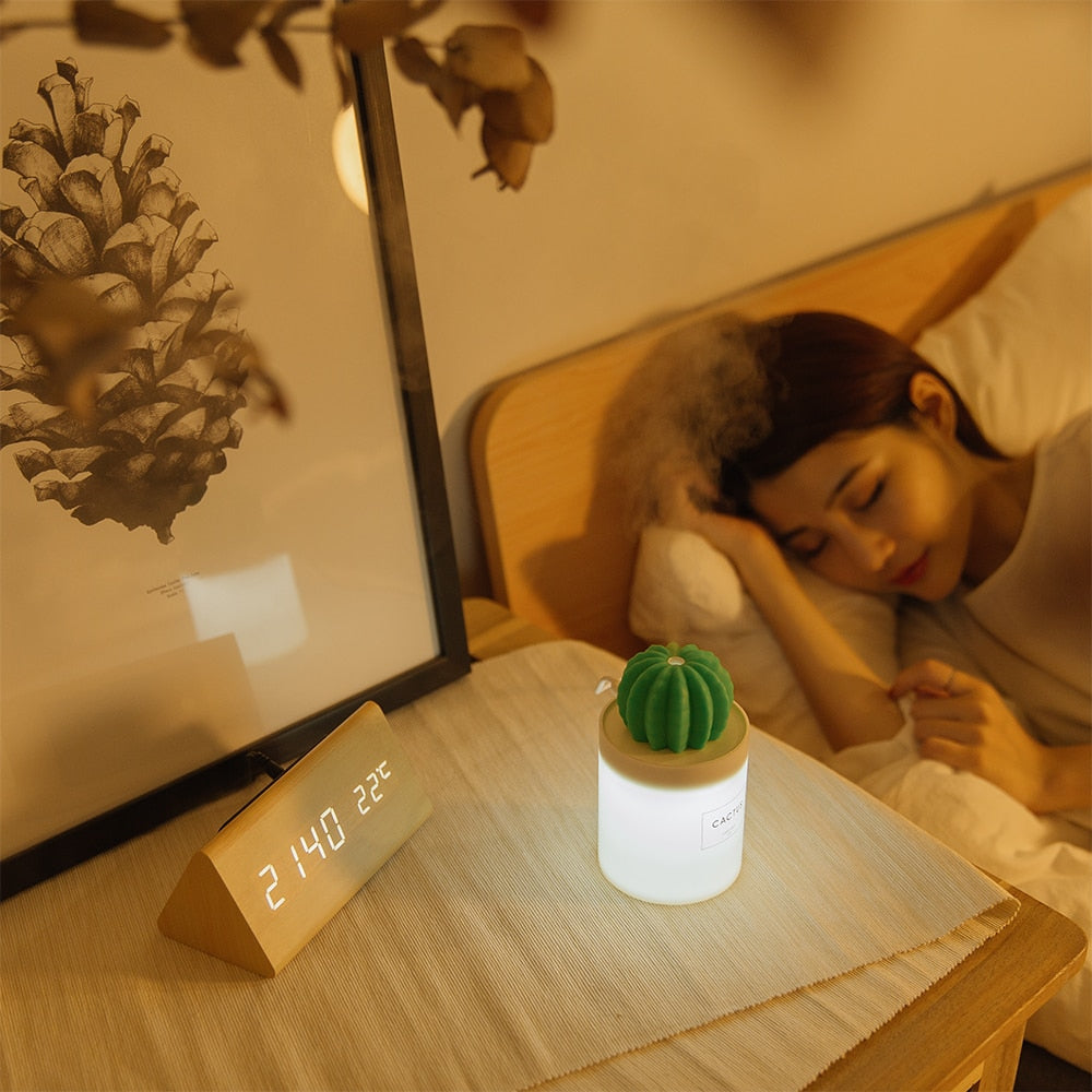 Humidificador Cactus Ball