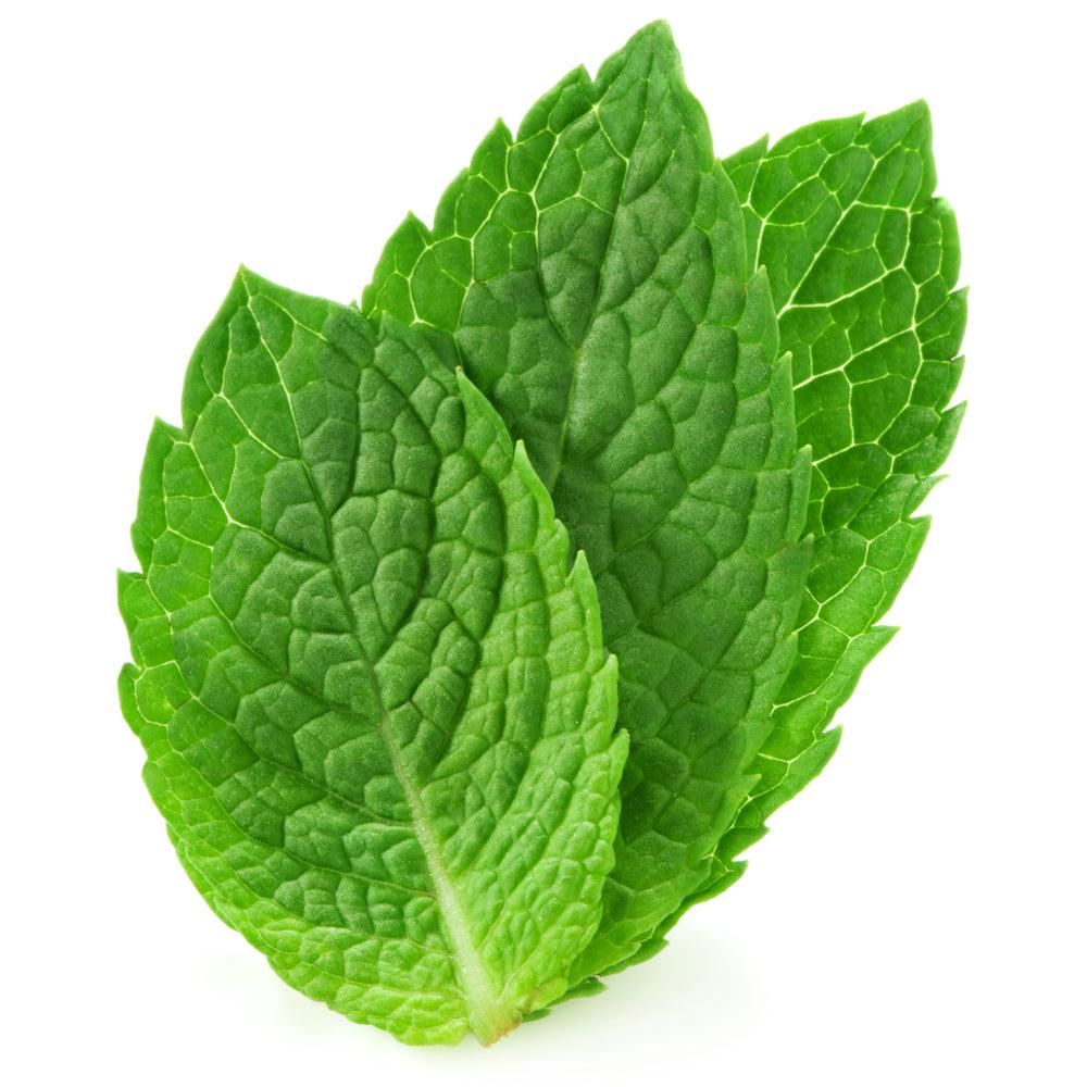 Óleo Essencial de Hortelã Pimenta (Menta Piperita) 10ml